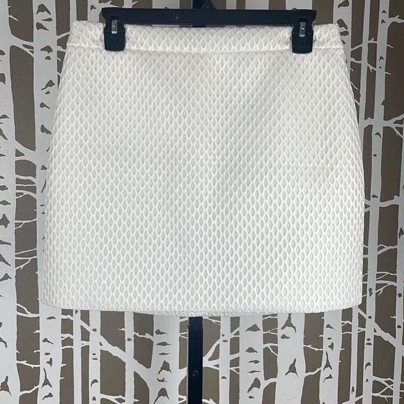 Express Fishnet Scuba Fabric Mini Skirt - Picture 1 of 7